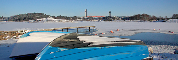 Två blåmålade ekor på land med Tjörnbron i bakgrunden. Is och snöigt landskap.